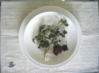 original luncheon mat